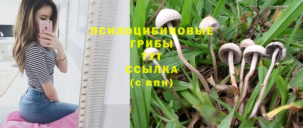 синтетический гашиш Каменка