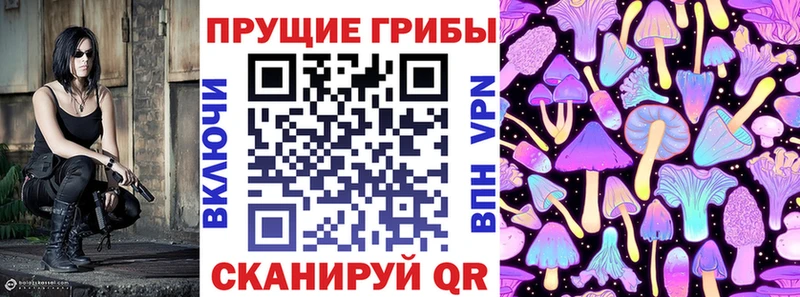 Галлюциногенные грибы Psilocybe  Купить закладки  Барыш 